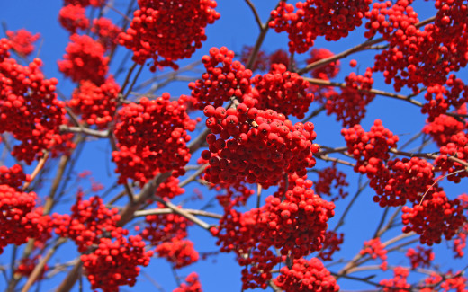 426229 (a): :2560x1600